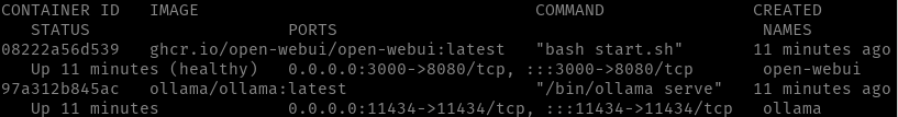 Output of sudo docker ps showing that Open WebUI and Ollama are running in docker containers.